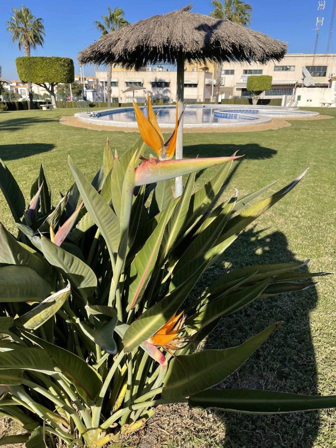 Apartamento Flamingo Gran Alacant Santa Pola Extérieur photo