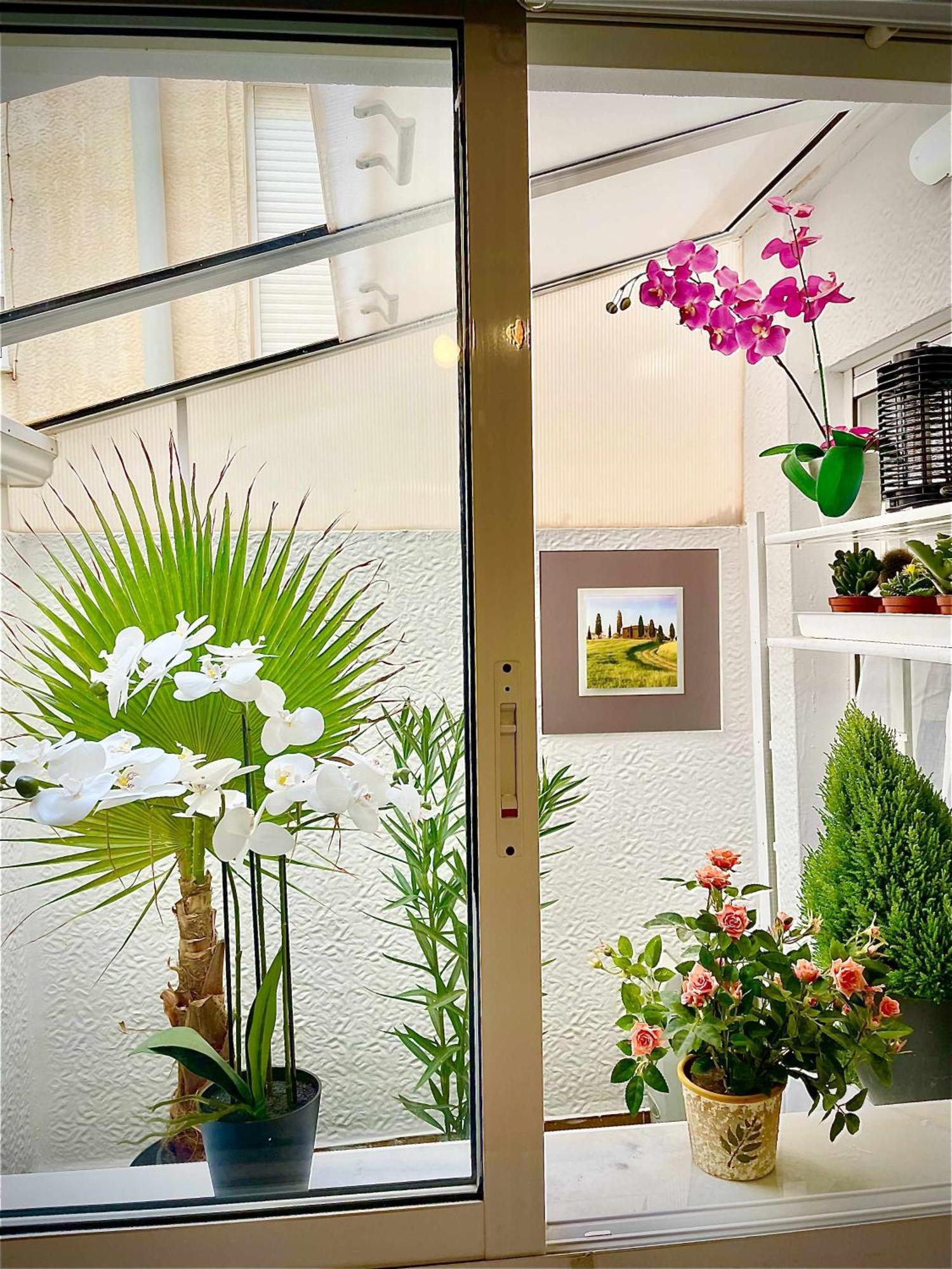 Apartamento Flamingo Gran Alacant Santa Pola Extérieur photo